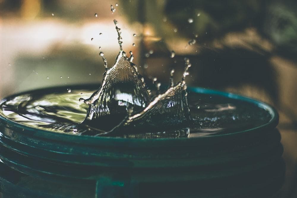 The Importance of Addressing Water Leak Repairs ASAP