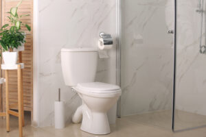 Common Bathroom Plumbing Problems